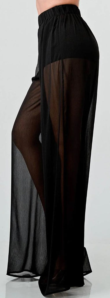 Sheer Wide Leg Pants 31255
