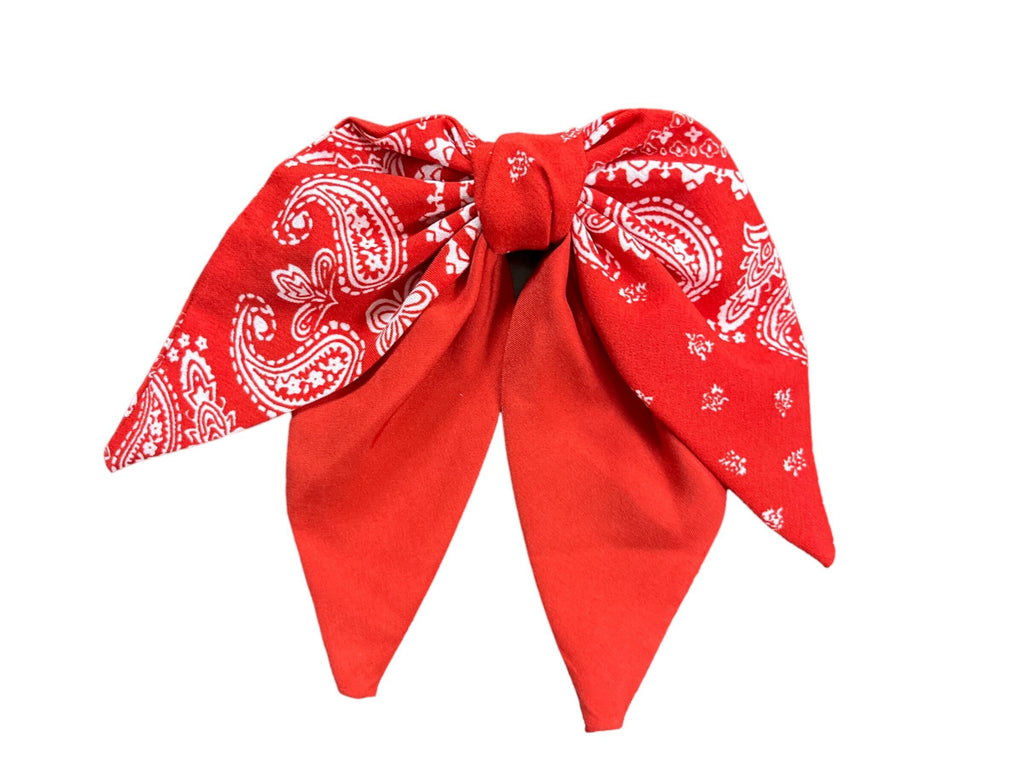 Paisley Print Double Bow