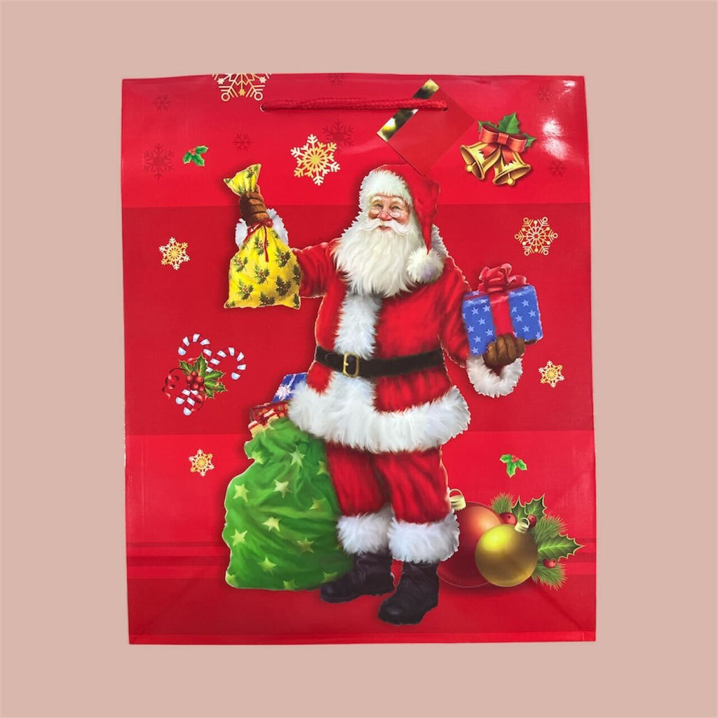 Christmas Gift Bag