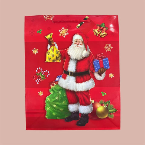 Christmas Gift Bag
