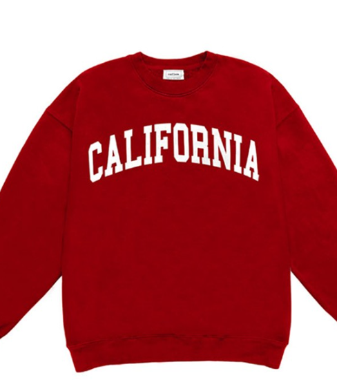 California Oversized Crew Neck Pullover Reflex T866