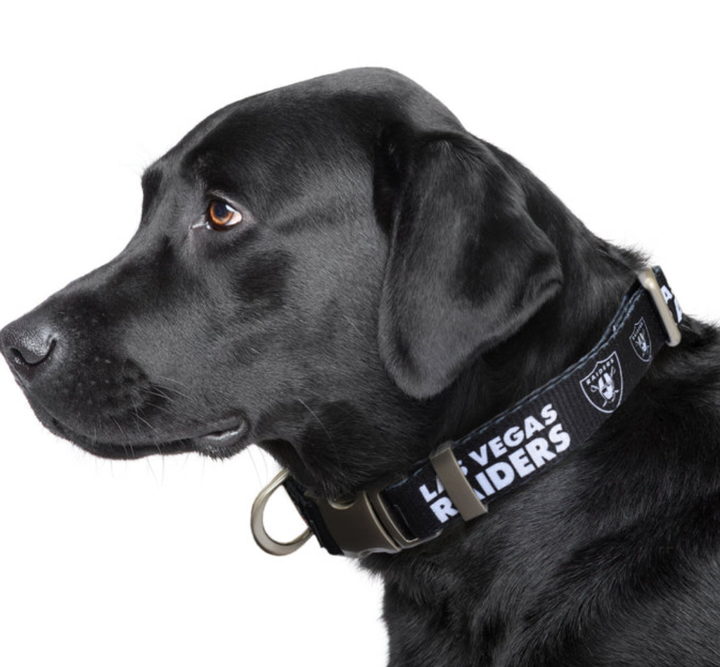 LV Raiders Premium Pet Collar