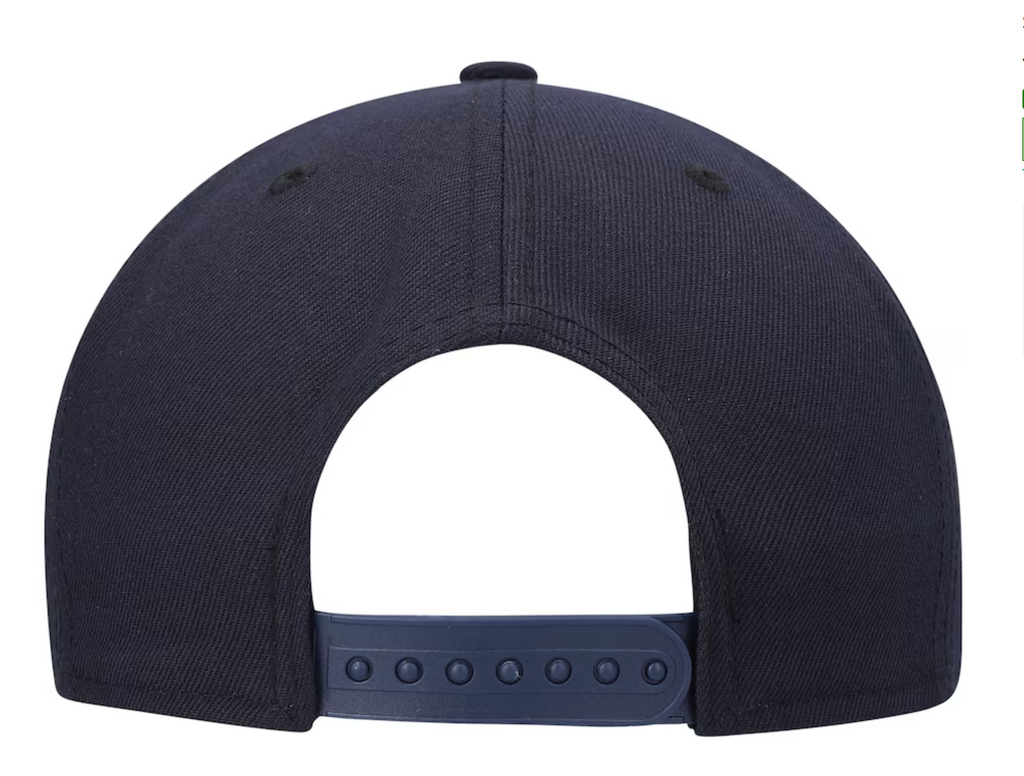 Houston Astros Basic Snapback