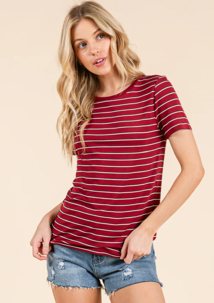 Striped Multi Color Top 34568