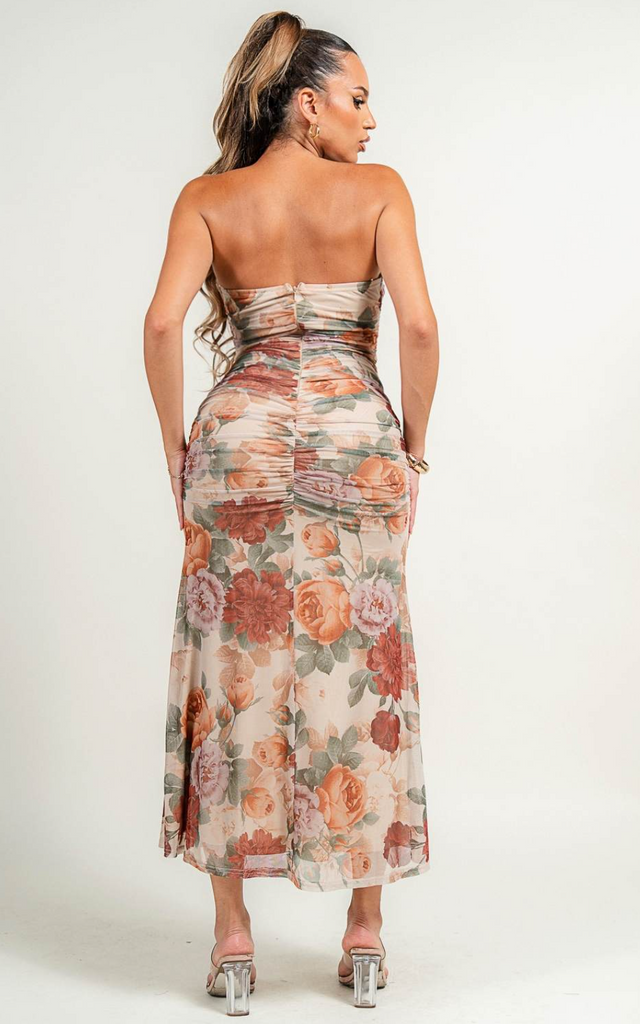 Mesh Print Ruched Maxi Dress Privy 79189