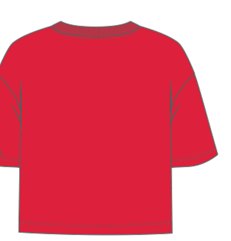 SF 49ers Panel Boxy Top