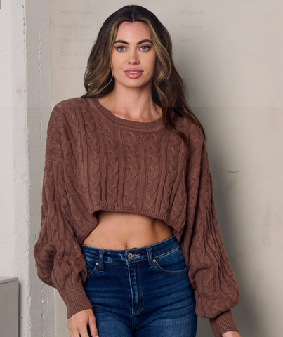 Long Sleeve Pullover Knit Crop Sweater 3090