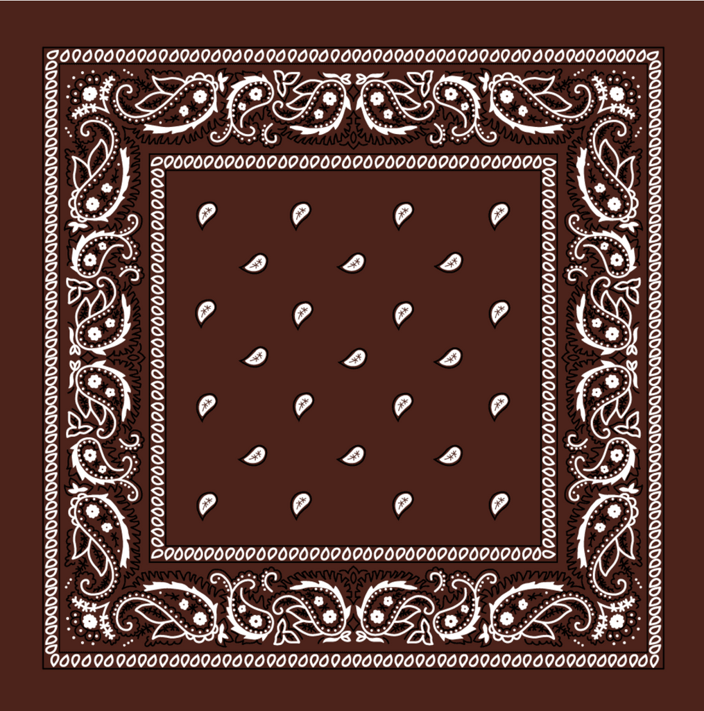 Paisley Print Bandana