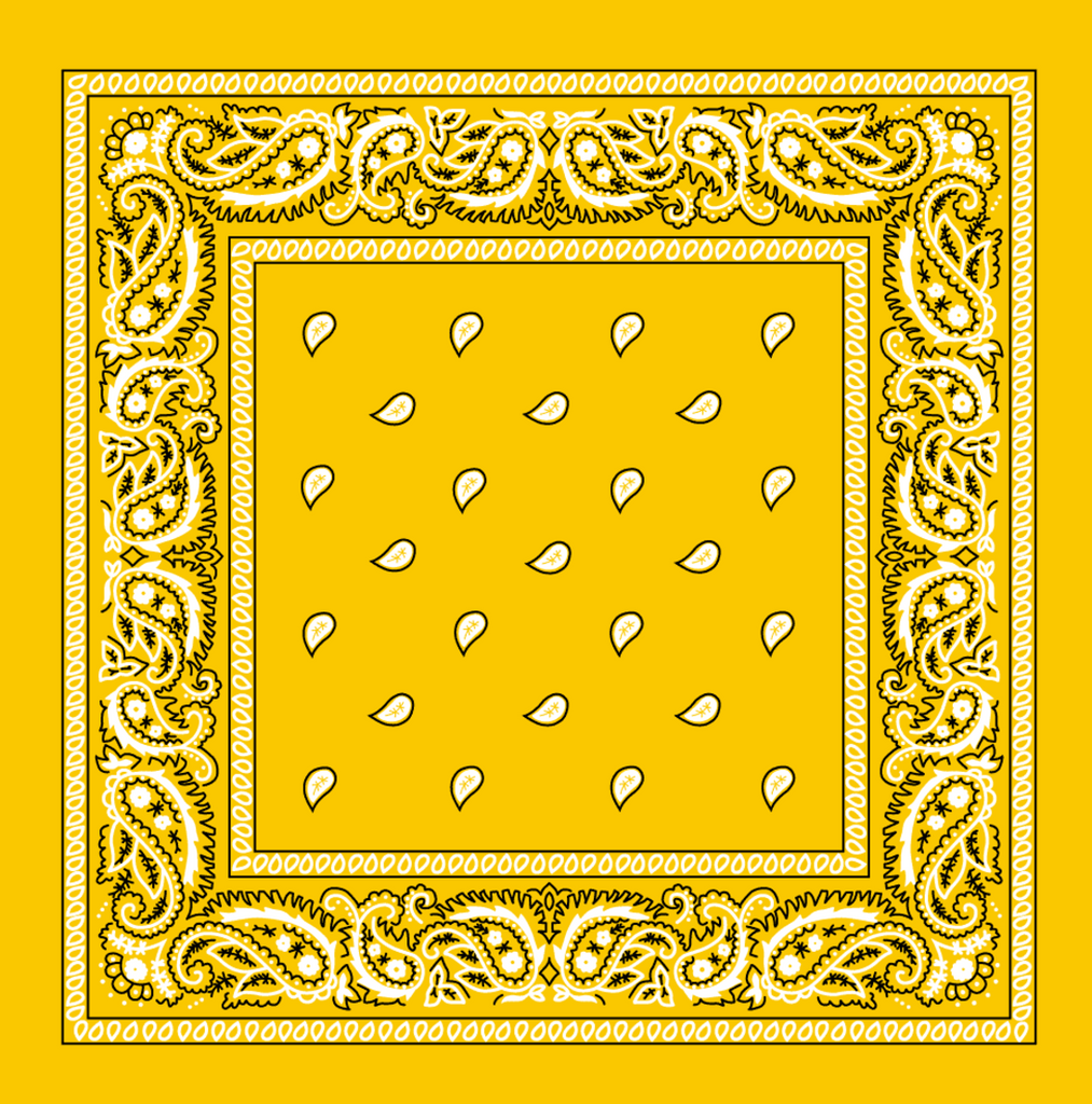 Paisley Print Bandana