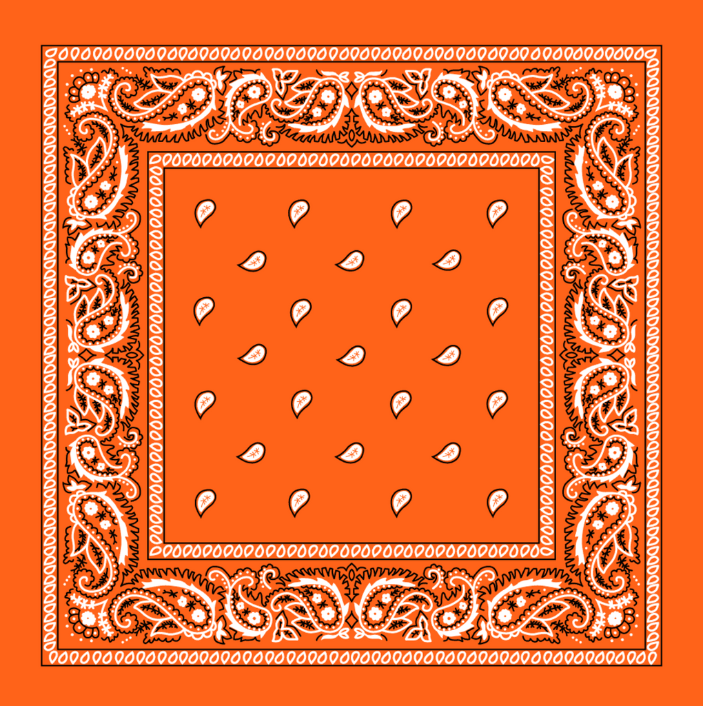 Paisley Print Bandana