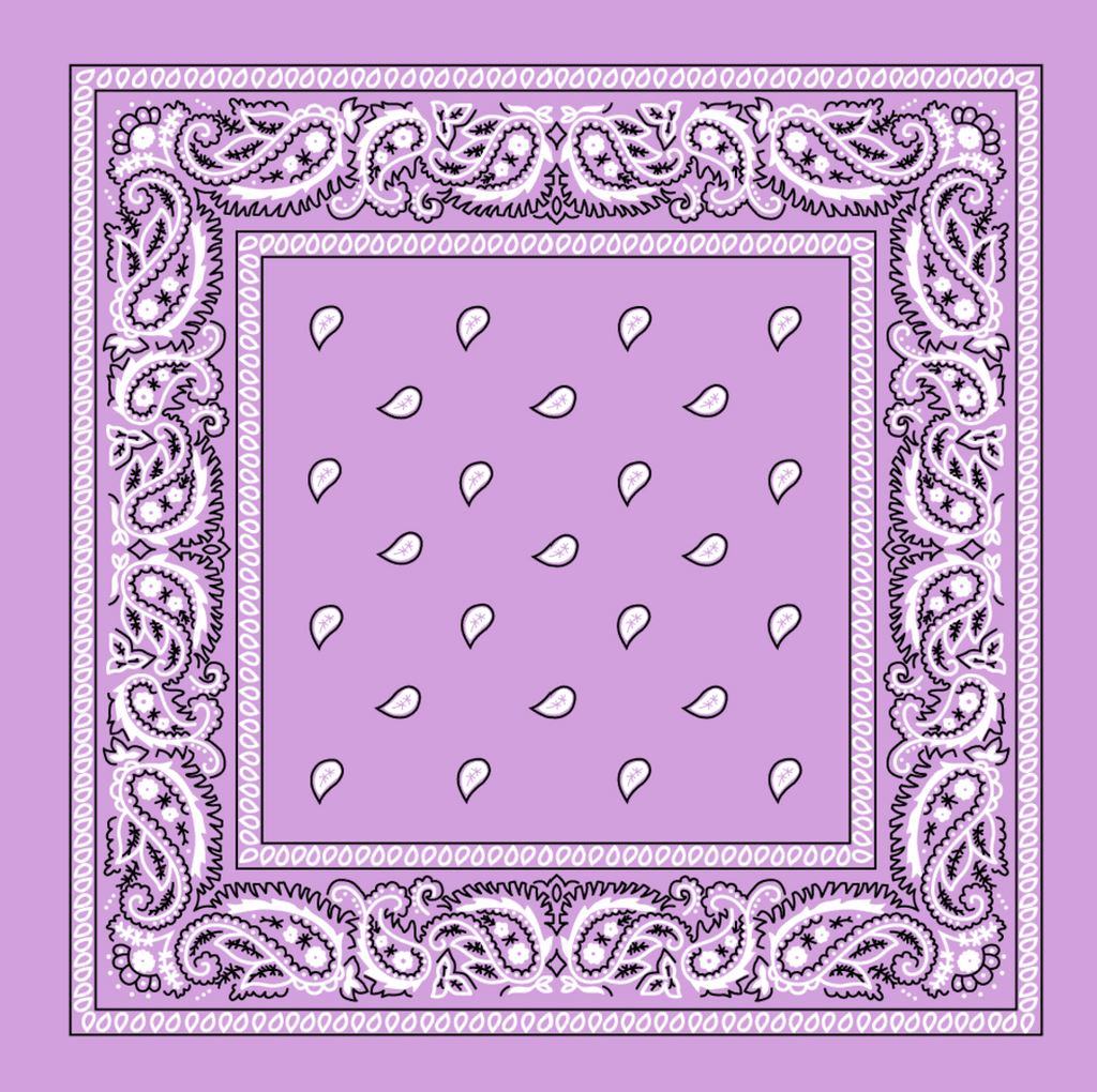 Paisley Print Bandana