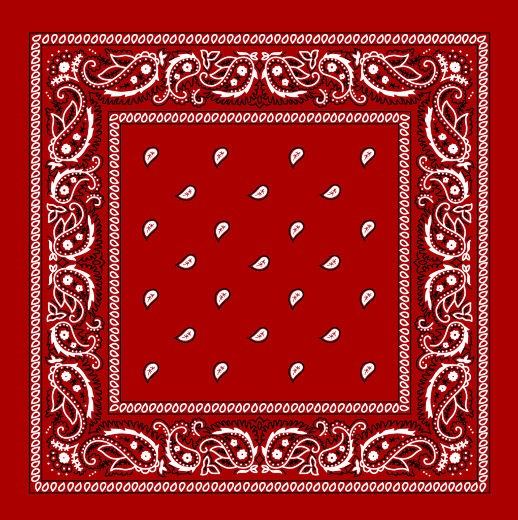 Paisley Print Bandana