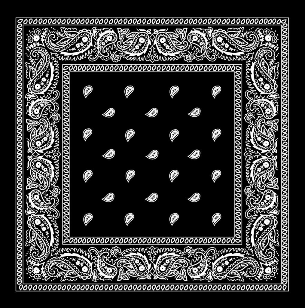 Paisley Print Bandana