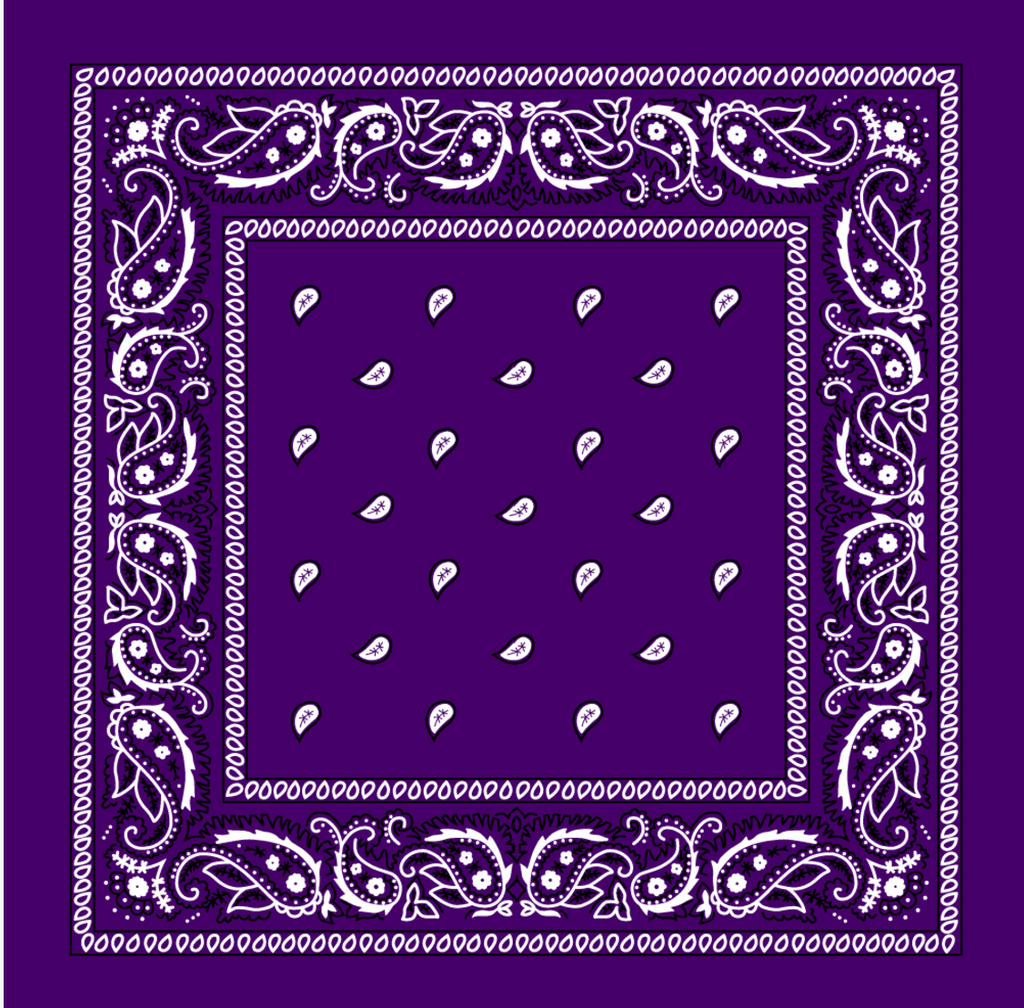 Paisley Print Bandana