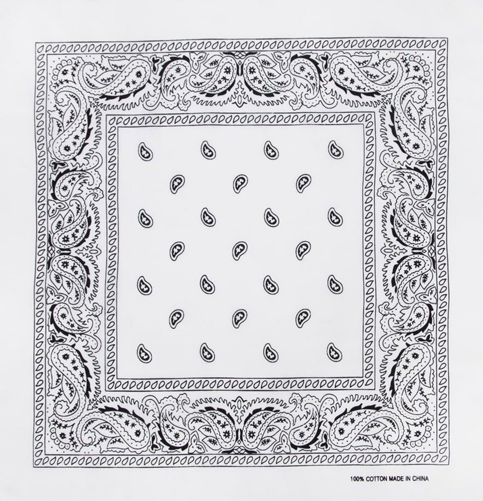 Paisley Print Bandana