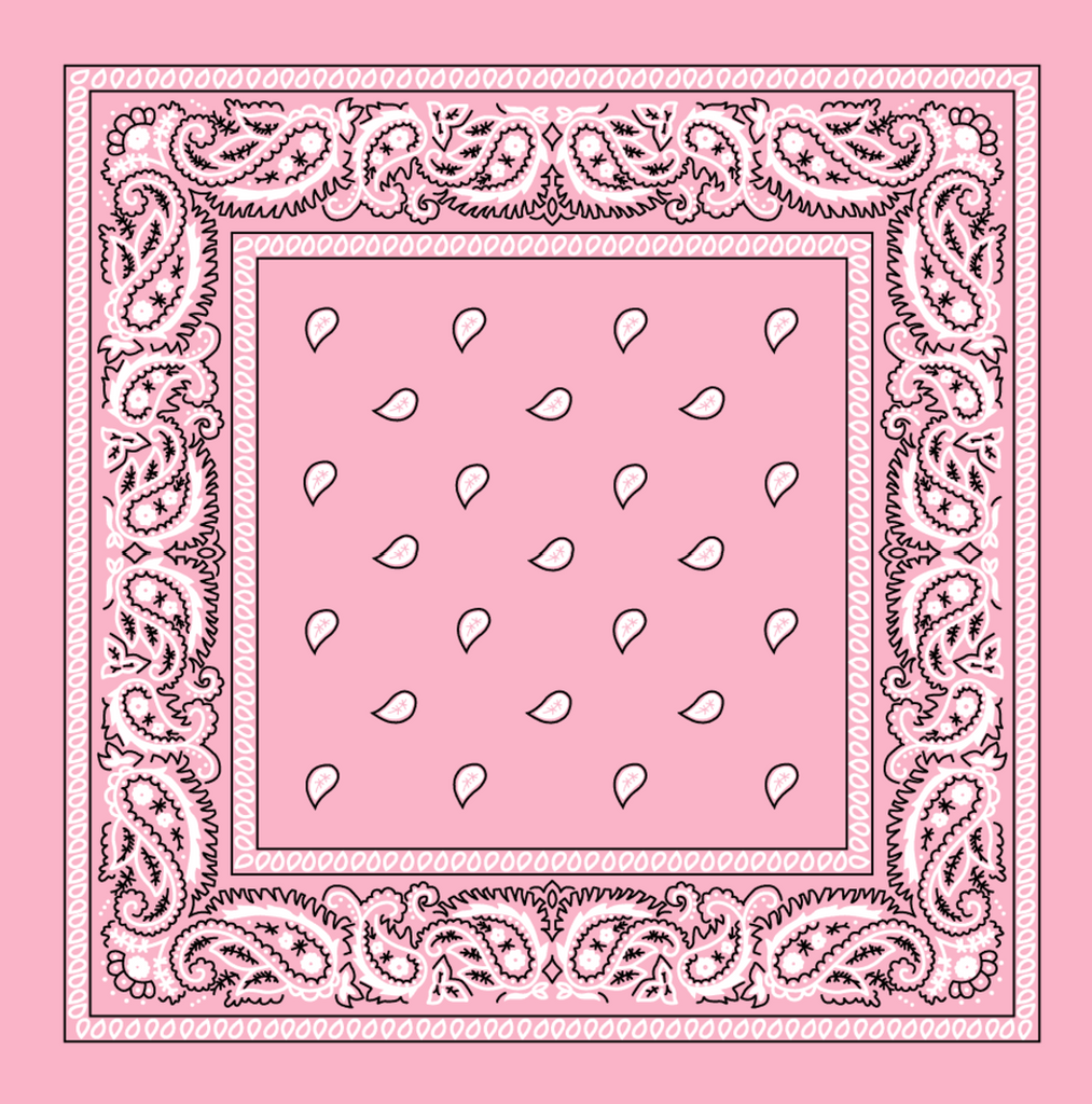 Paisley Print Bandana