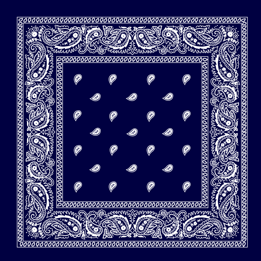 Paisley Print Bandana