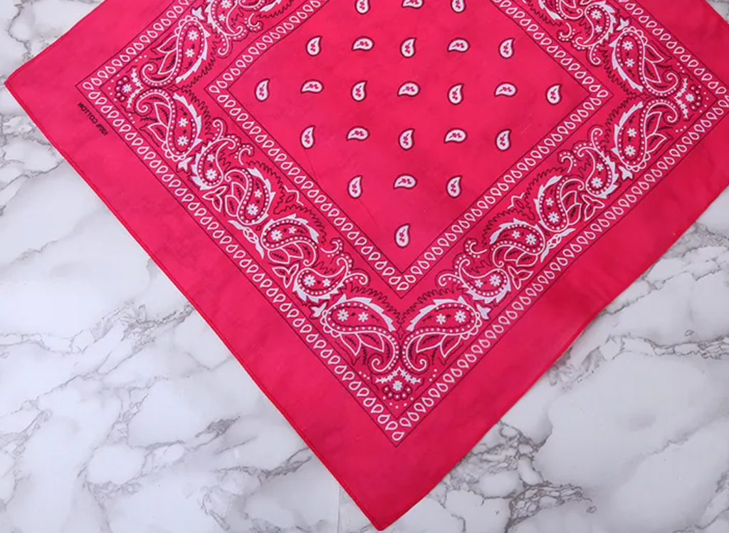 Paisley Print Bandana