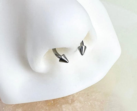 Horseshoe  Nose Piercing