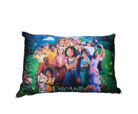 Encanto Pillow