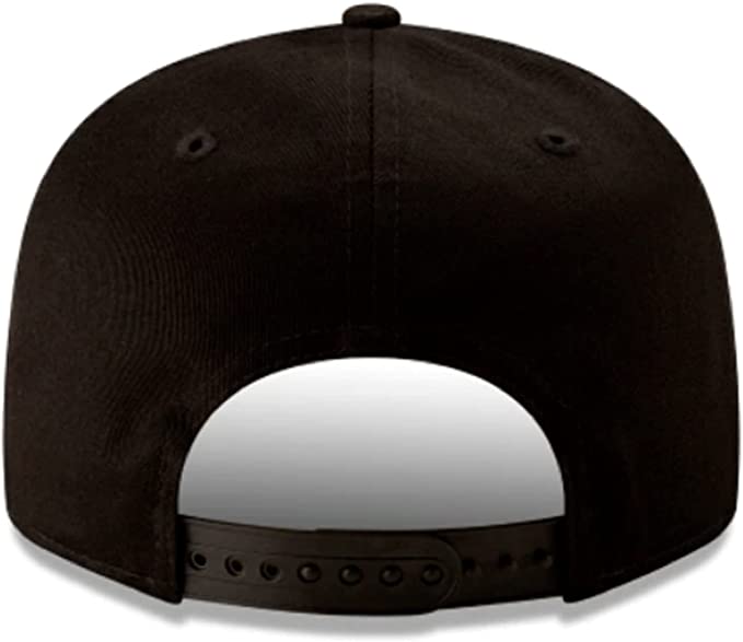 LV Raiders Script Snapback