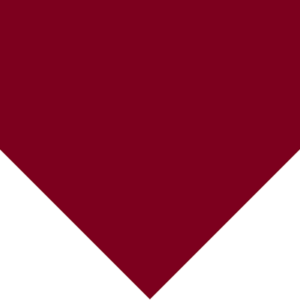 Bandana Solid Colors