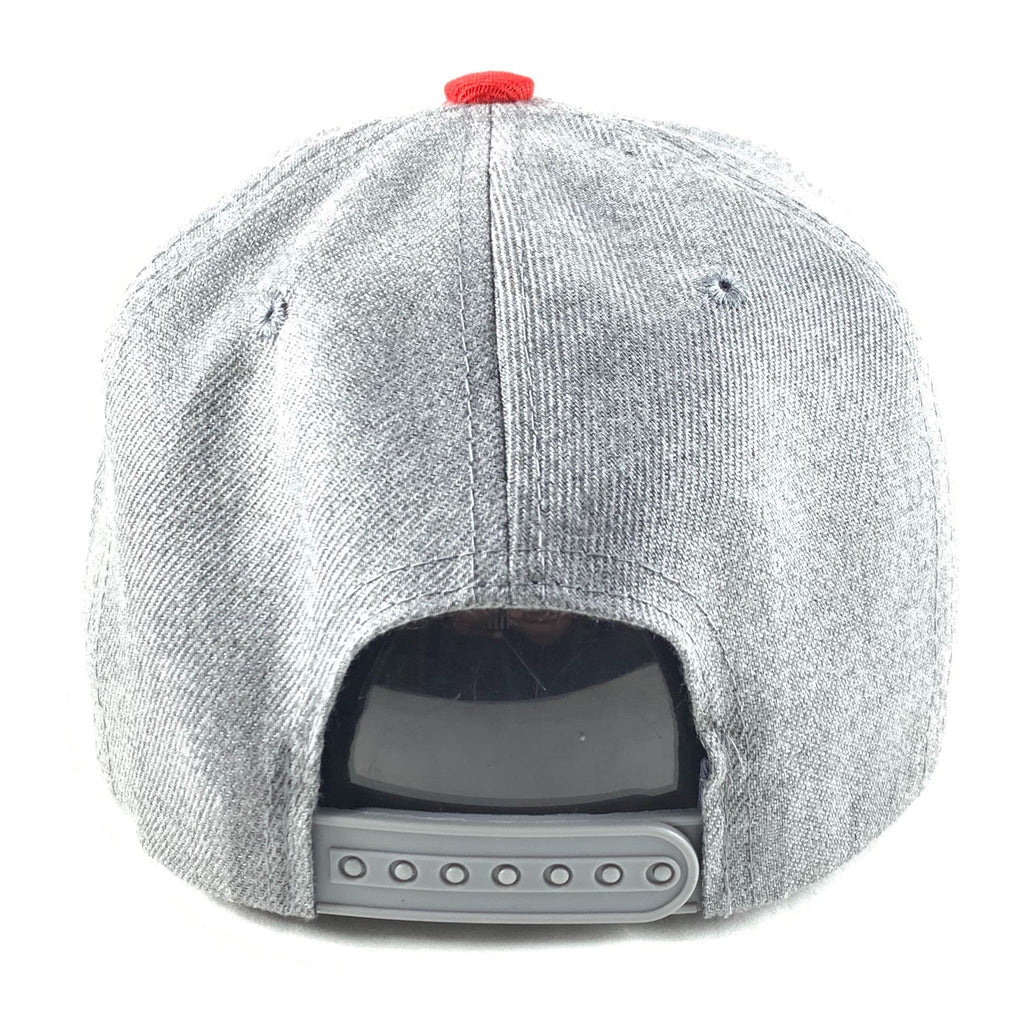 Backwoods Gray & Red Snapback