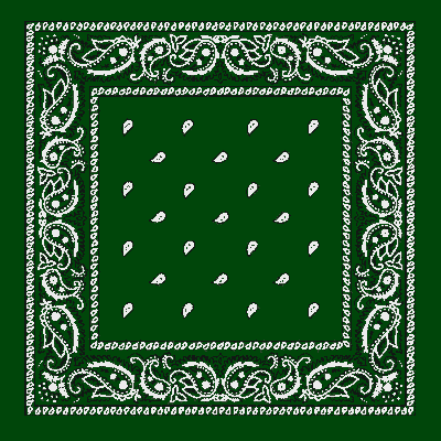 Paisley Print Bandana