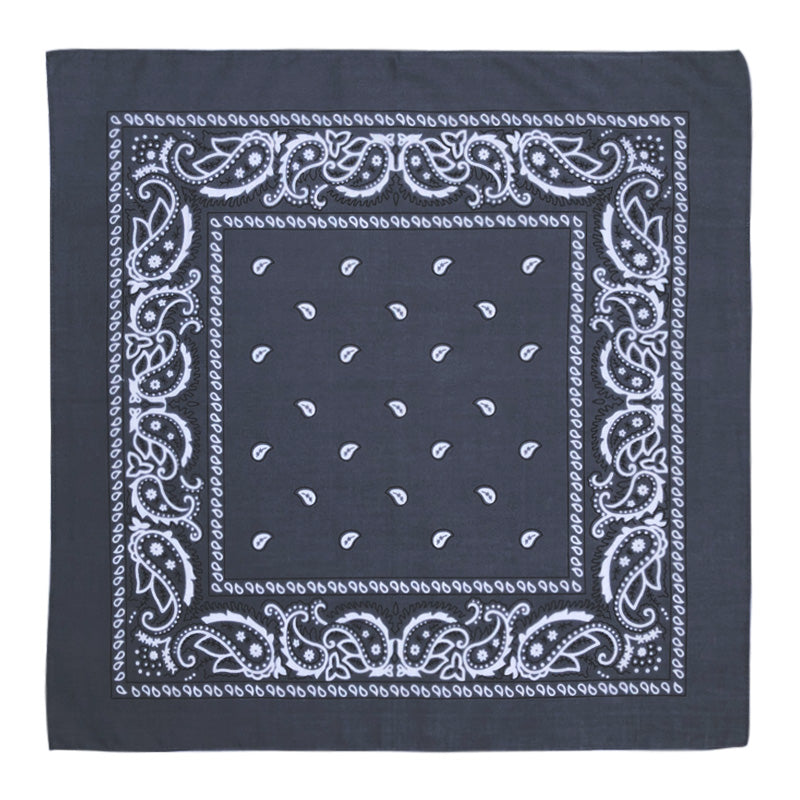 Paisley Print Bandana