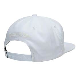 Raptors UV Reactive Snapback